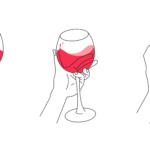 ¿Cuál es la copa correcta para cada tipo de vino?